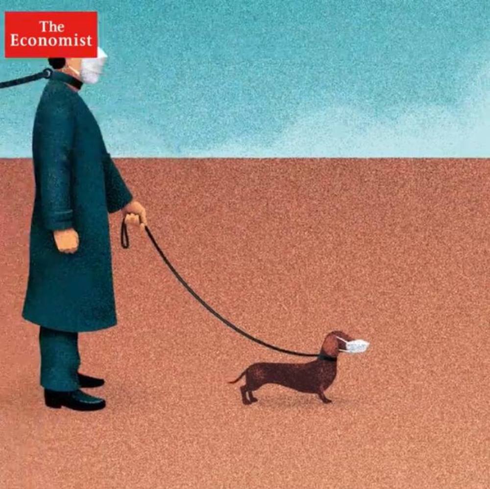 Meet your Posher, Carmen